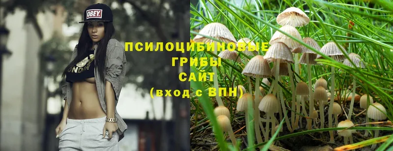 Галлюциногенные грибы Magic Shrooms  OMG ссылки  Лихославль 